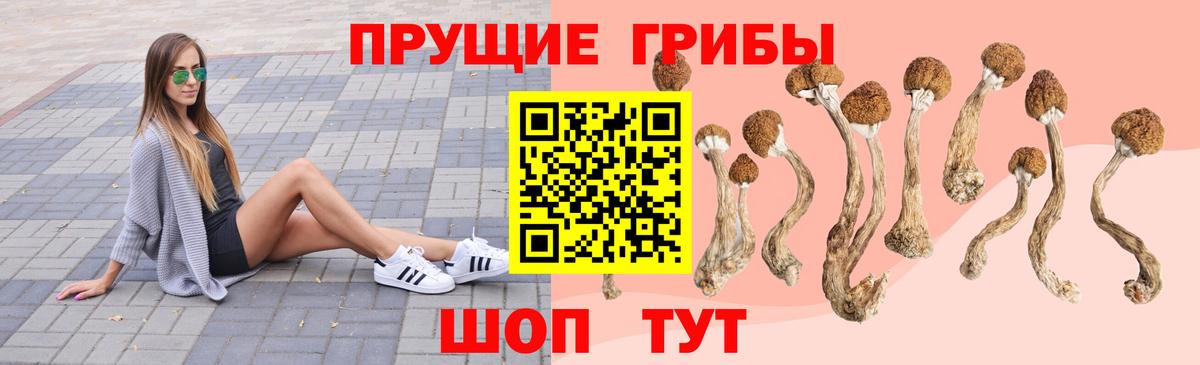Галлюциногенные грибы Magic Shrooms Реутов
